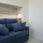 Frontemare